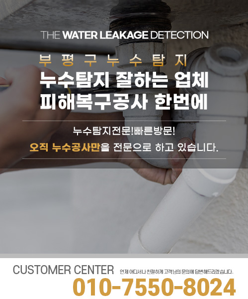 누수탐지 잘하는 업체 피해복구공사 한번에 모바일 비주얼 0